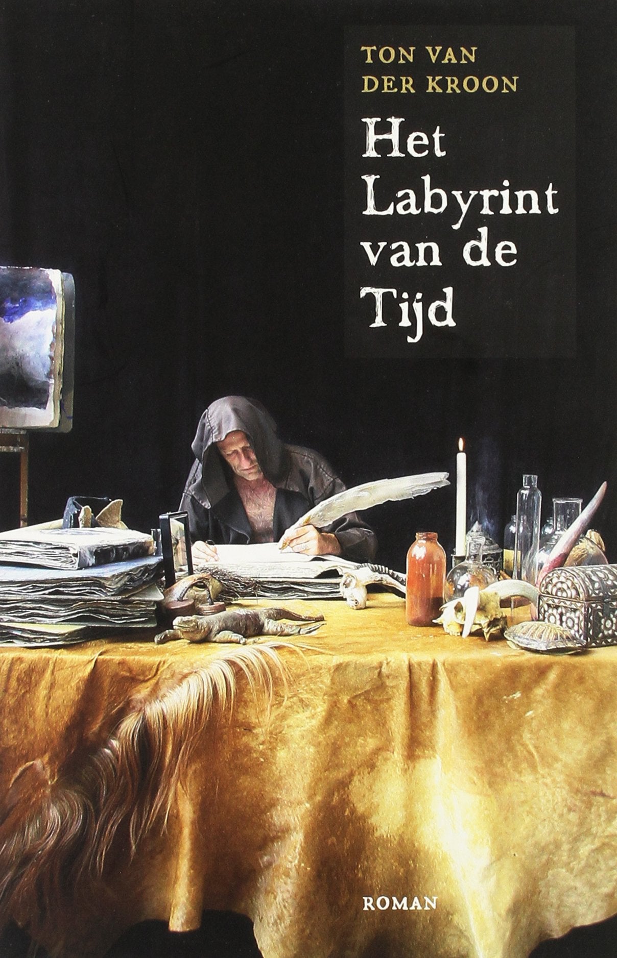 Het labyrint van de tijd: een reis door de 10.000 jaar geschiedenis book