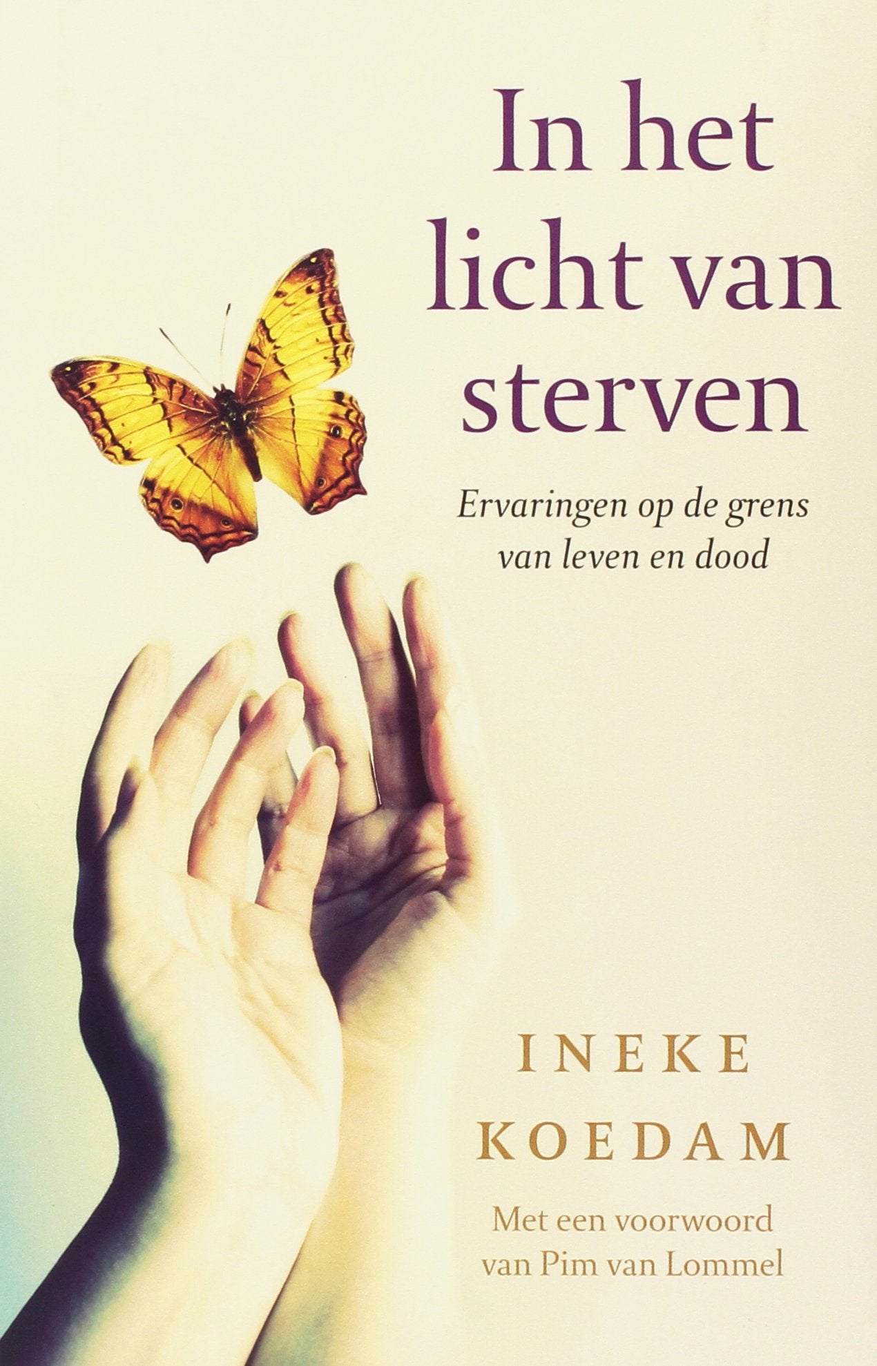 In het licht van sterven: ervaringen op de grens van leven en dood book