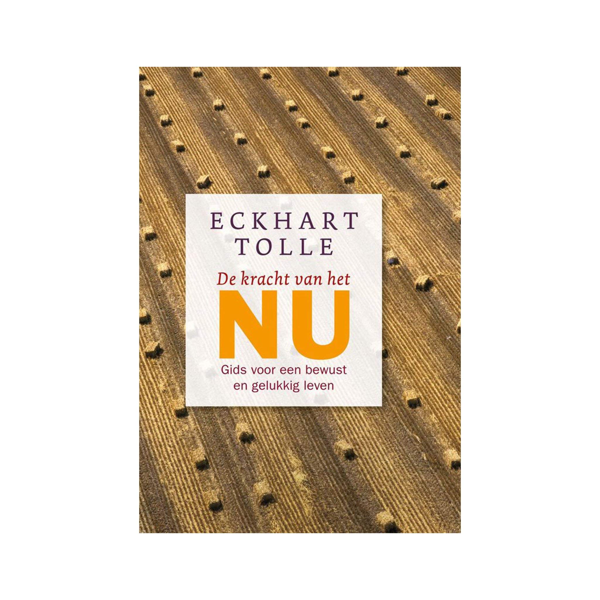 De kracht van het nu: gids voor een bewust en gelukkig leven Business, Finance & Career