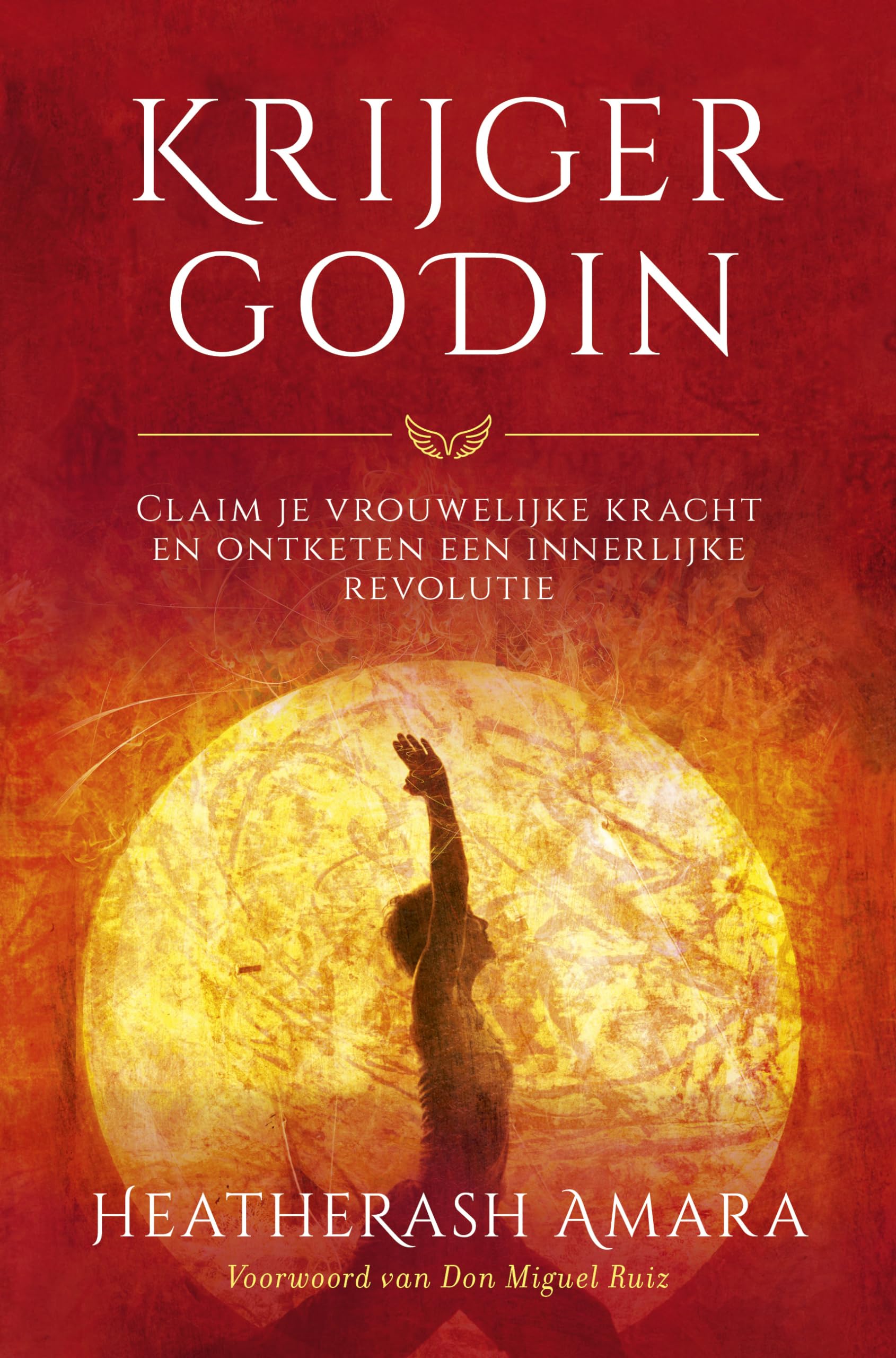 Krijgergodin: claim je vrouwelijke kracht en ontketen een innerlijke revolutie Business, Finance & Career