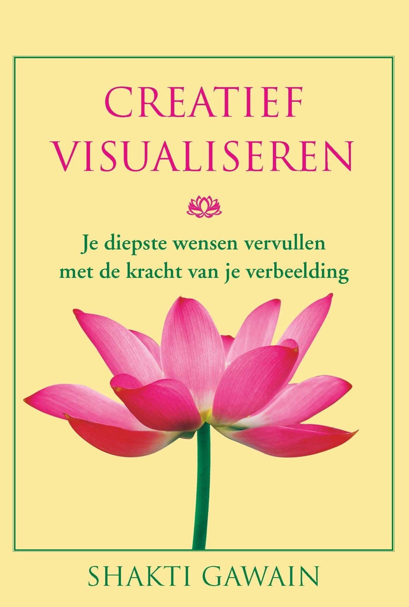 Creatief visualiseren: je natuurlijke verbeeldingskracht bewust gebruiken book