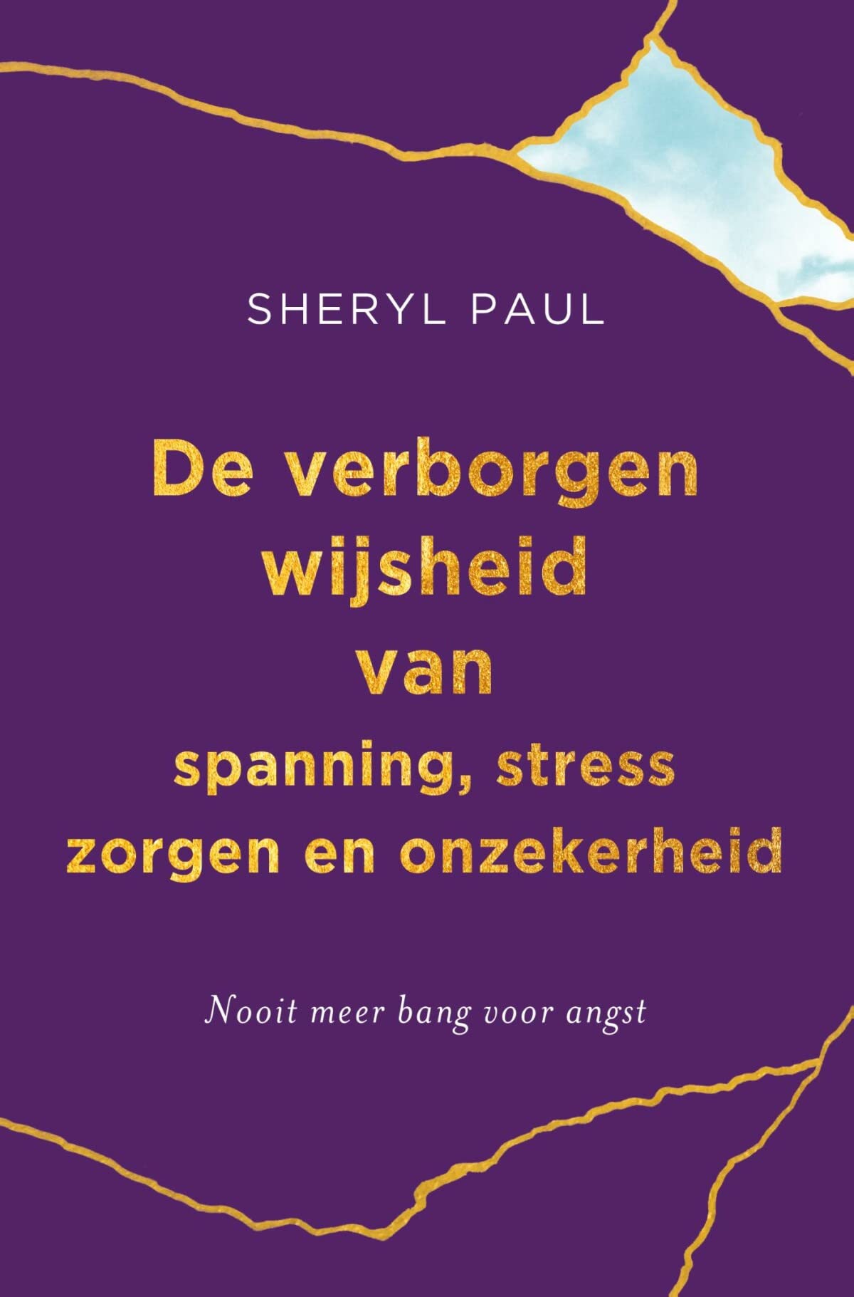 De verborgen wijsheid van spanning, stress, zorgen en onzekerheid: nooit meer bang voor angst Medicine