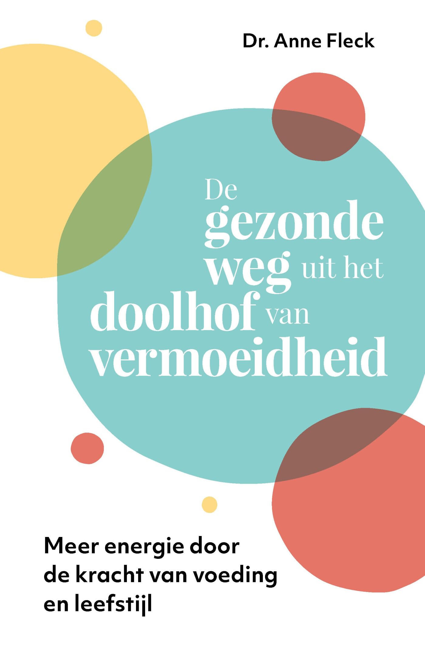 De gezonde weg uit het doolhof van vermoeidheid: meer energie door de kracht van voeding en leefstijl book