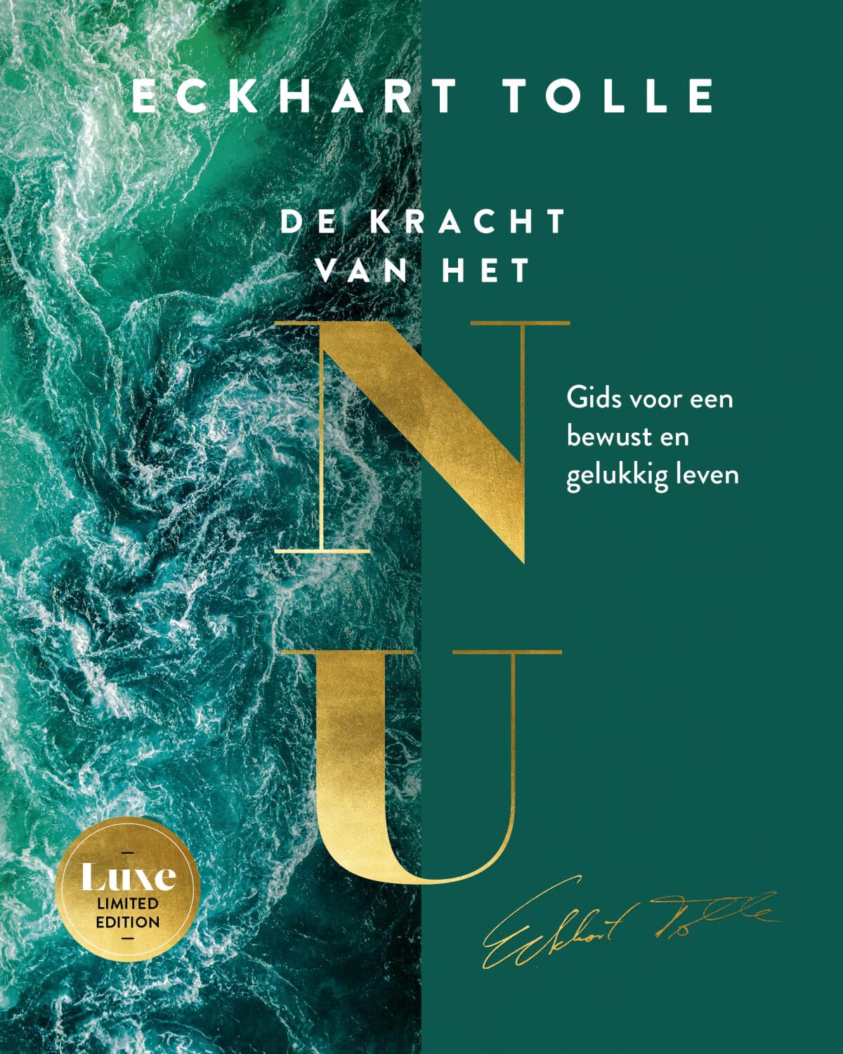 De kracht van het nu: gids voor een bewust en gelukkig leven book