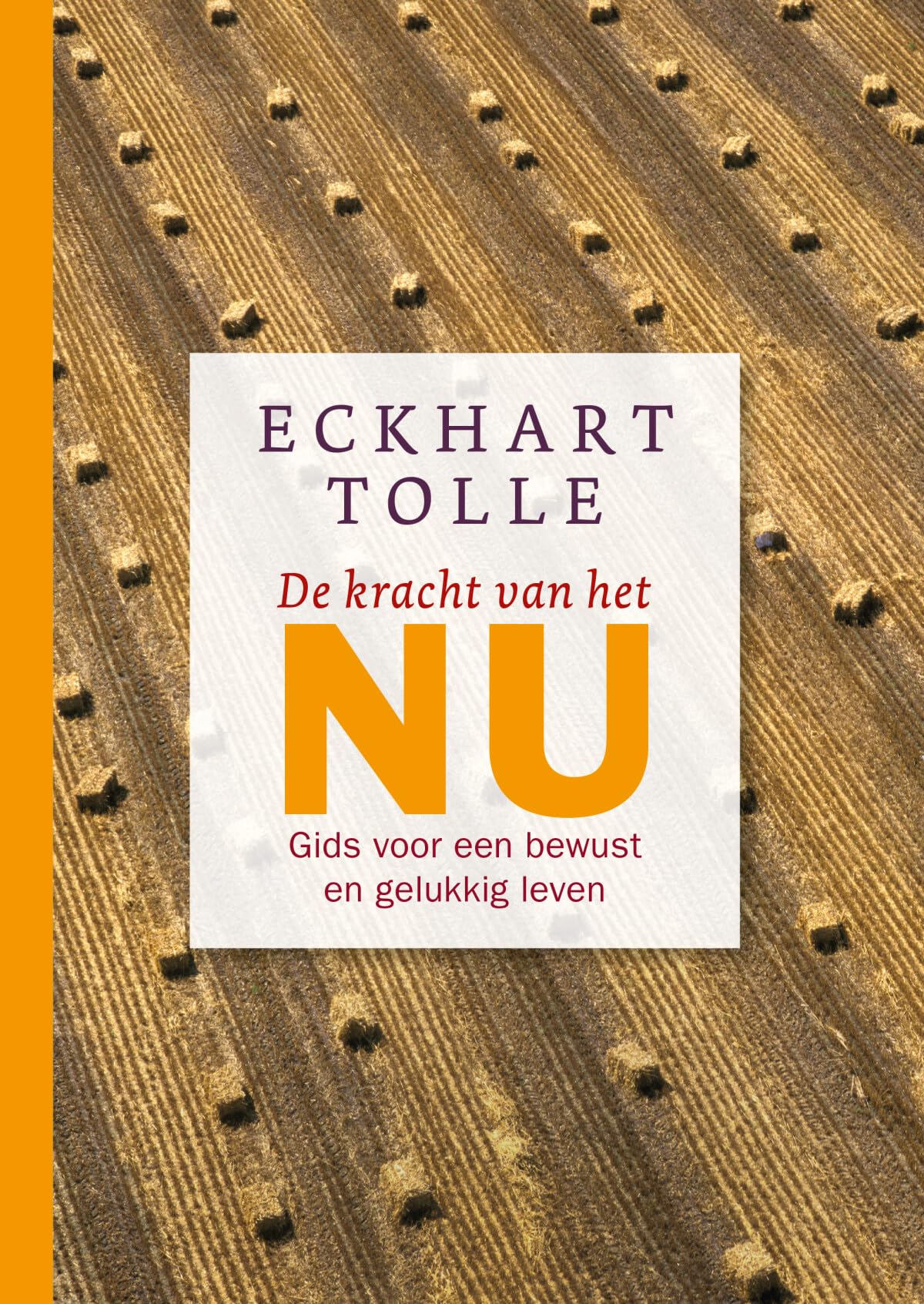 De kracht van het NU: Gids voor een bewust en gelukkig leven Business, Finance & Career