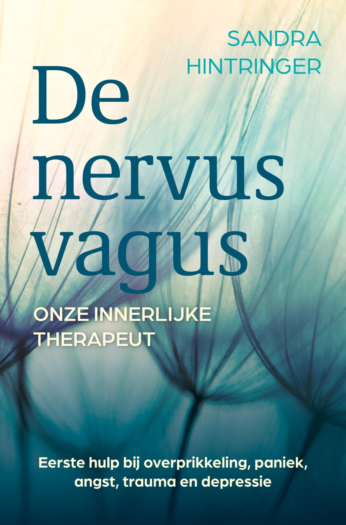 De nervus vagus: onze innerlijke therapeut : eerste hulp bij overprikkeling, paniek, angst, trauma en depressie Medicine