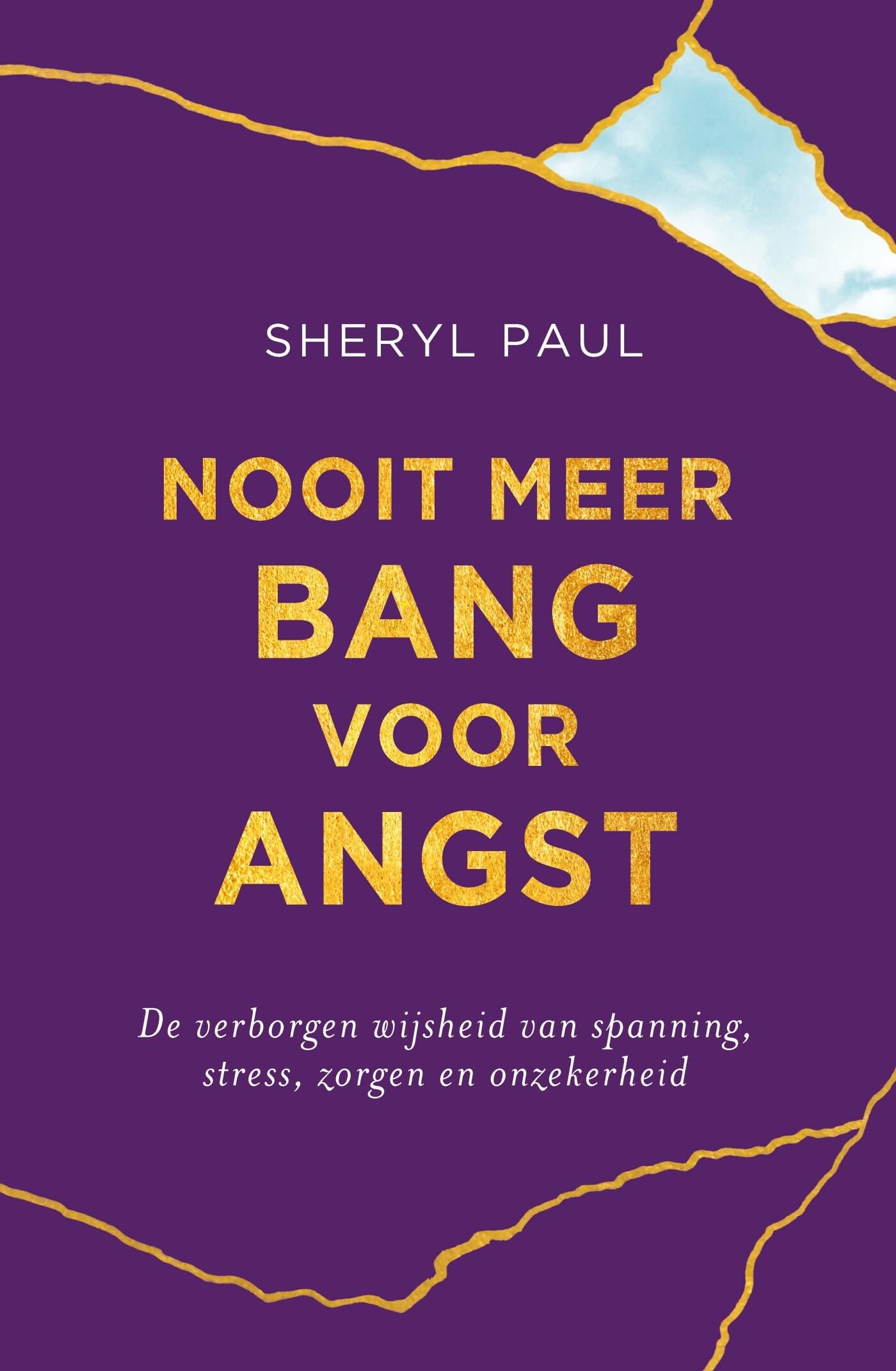 Nooit meer bang voor angst: de verborgen wijsheid van spanning, stress, zorgen en onzekerheid book