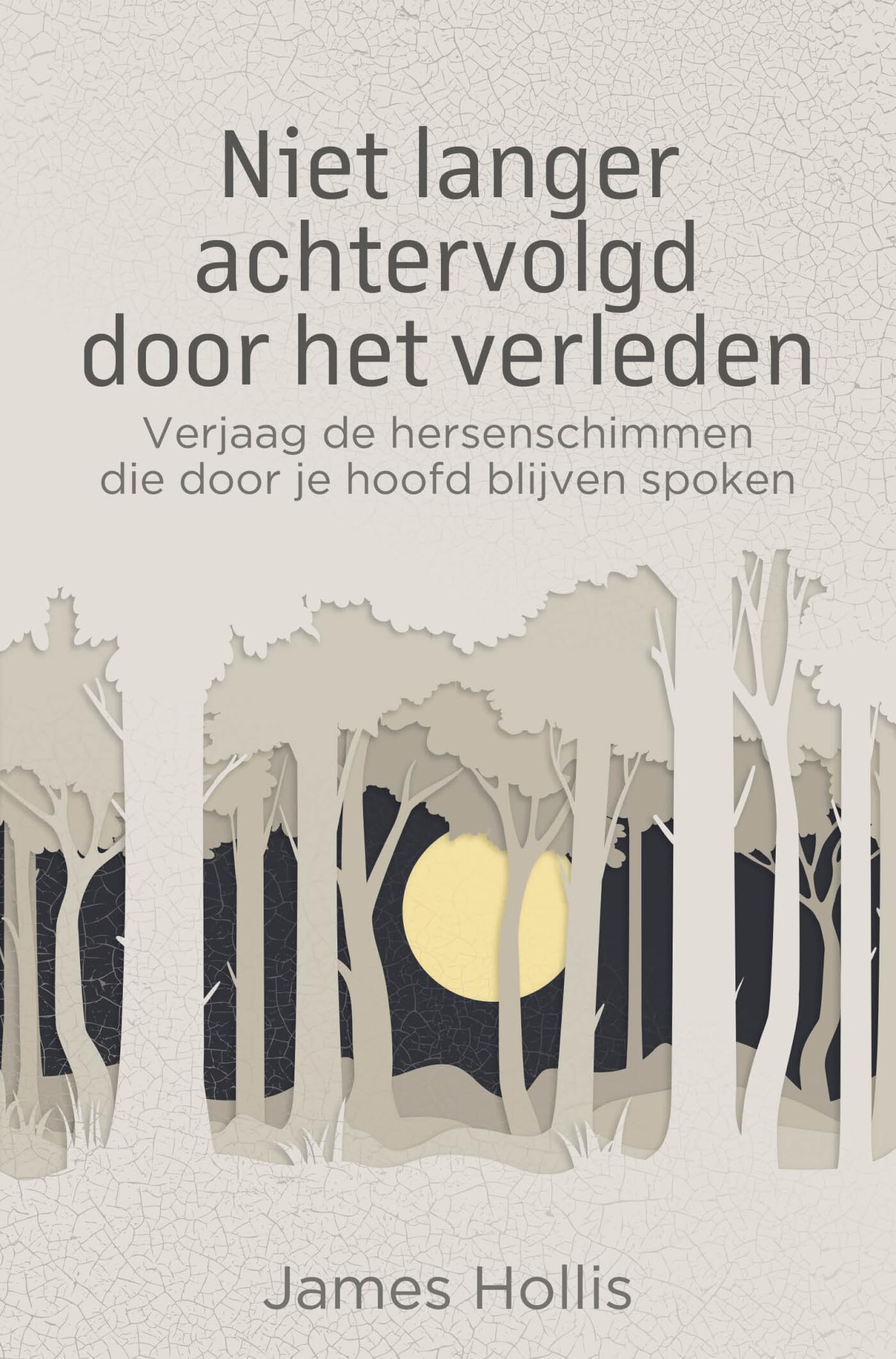 Niet langer achtervolgd door het verleden: verjaag de hersenschimmen die door je hoofd blijven spoken book