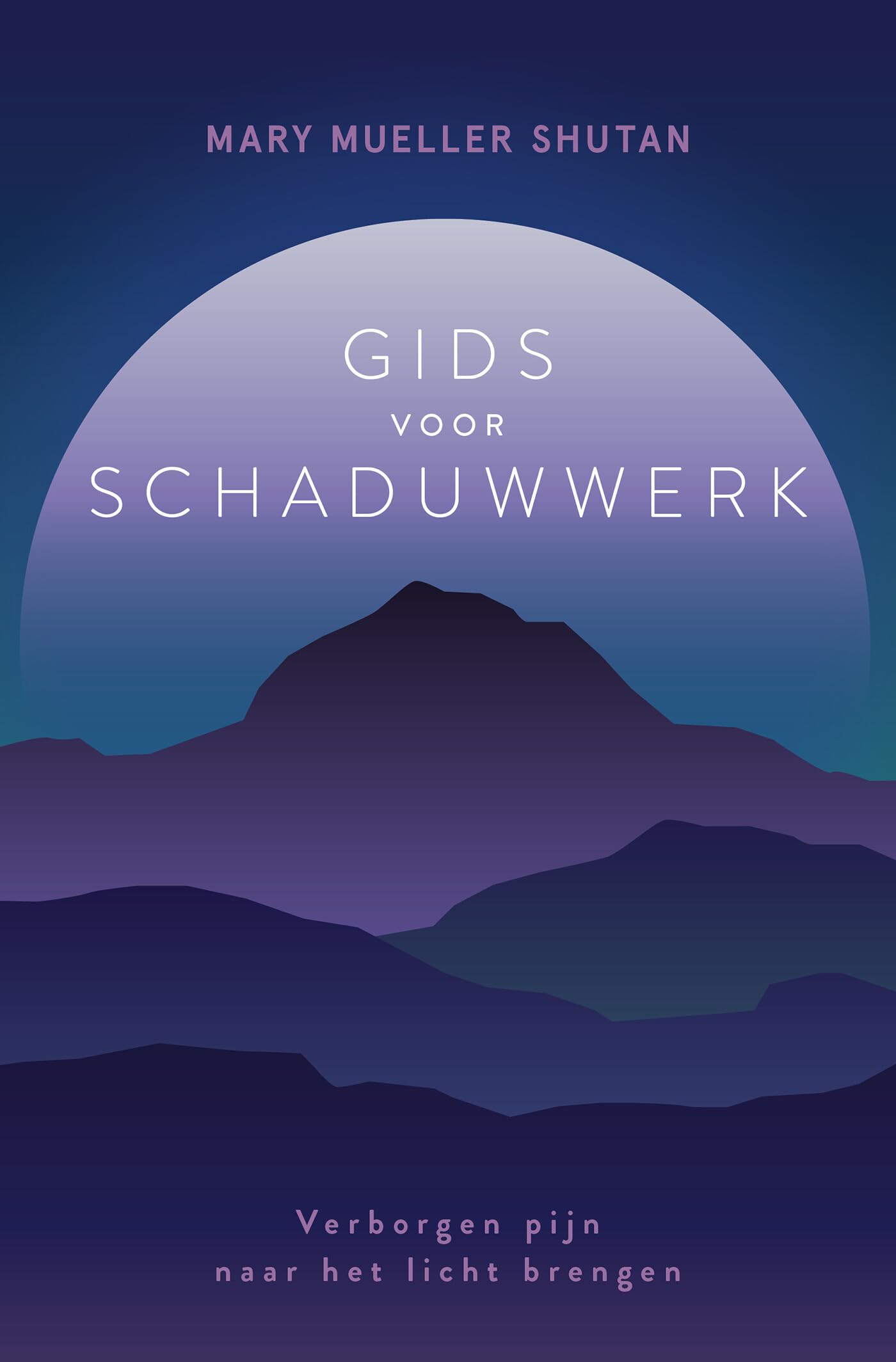 Gids voor schaduwwerk: verborgen pijn naar het licht brengen book