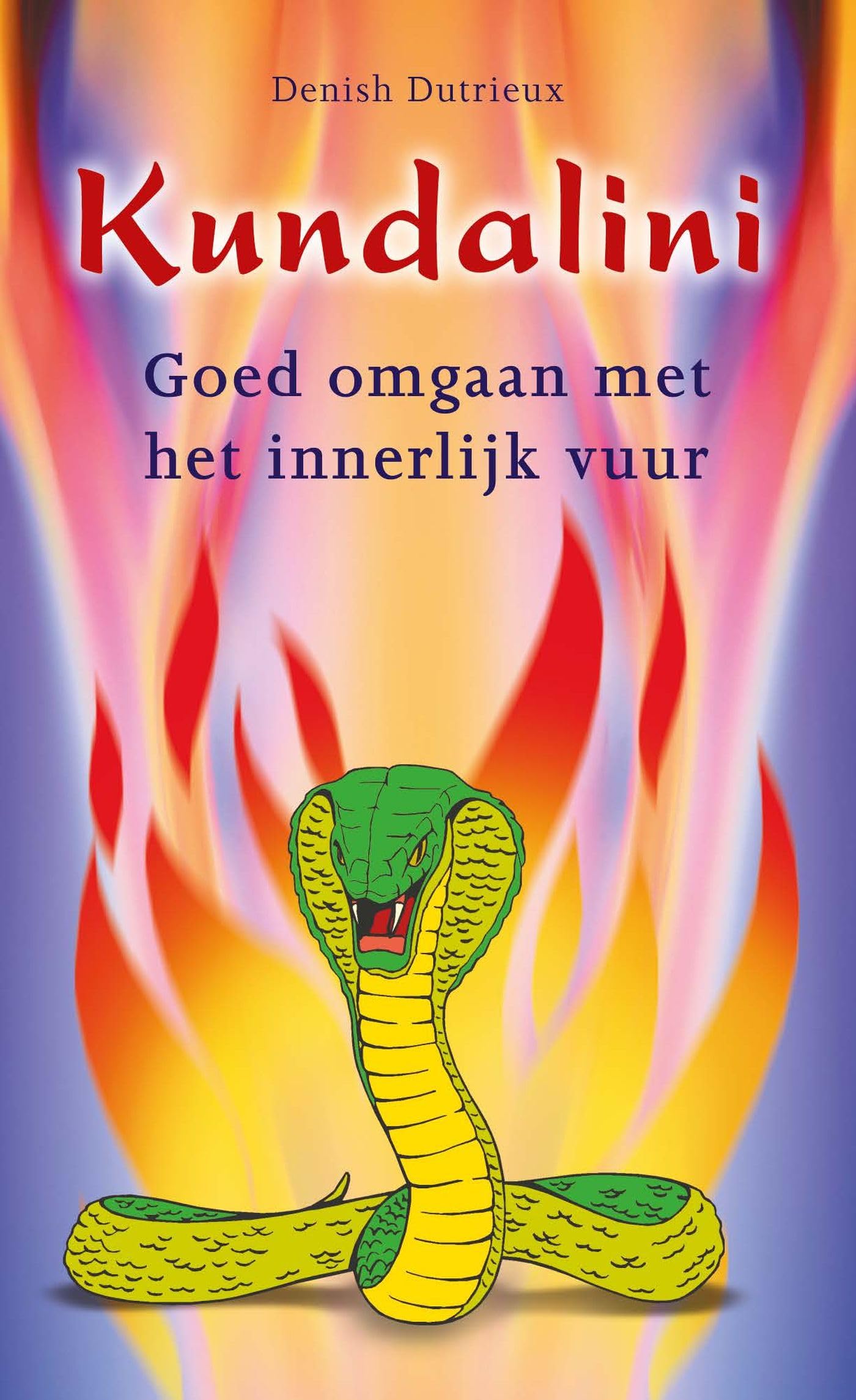 Kundalini: goed omgaan met het innerlijk vuur book