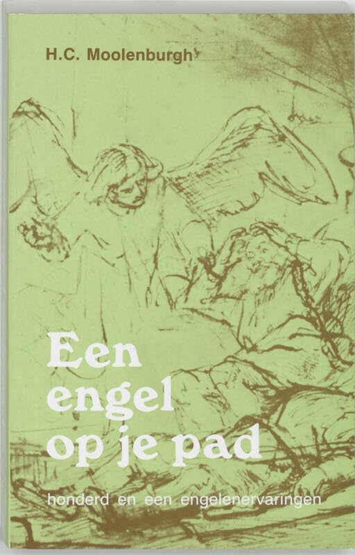 Een engel op je pad: honderd en een engelenervaringen: honderd en één engelenervaringen Religion & Esotericism