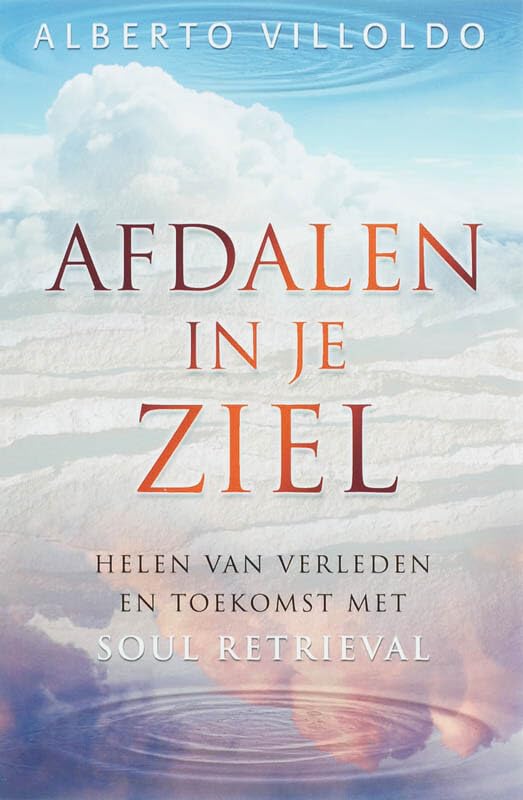 Afdalen in je ziel: helen van verleden en toekomst met soul retrieval Business, Finance & Career