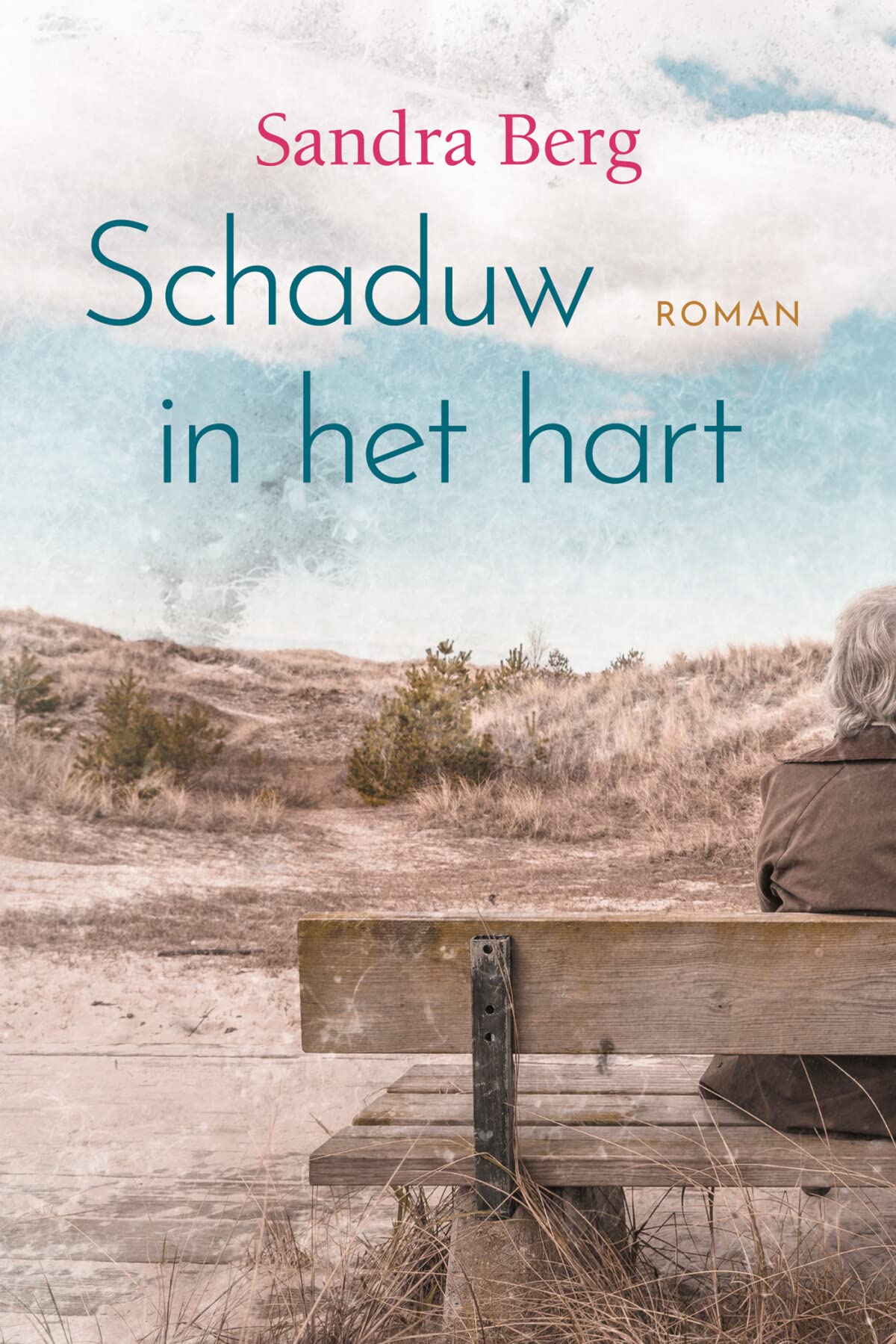 Schaduw in het hart Contemporary literature Books
