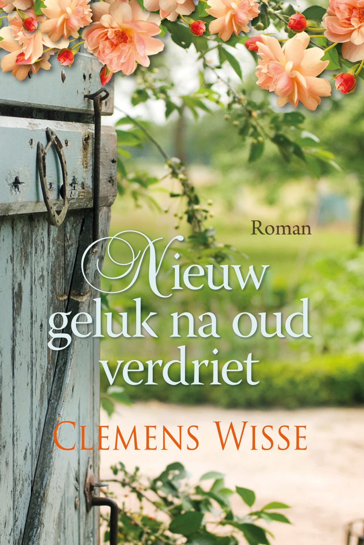 Nieuw geluk na oud verdriet book