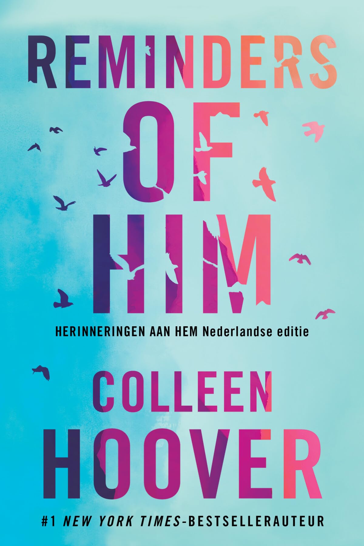 Reminders of him: Herinneringen aan hem Contemporary literature