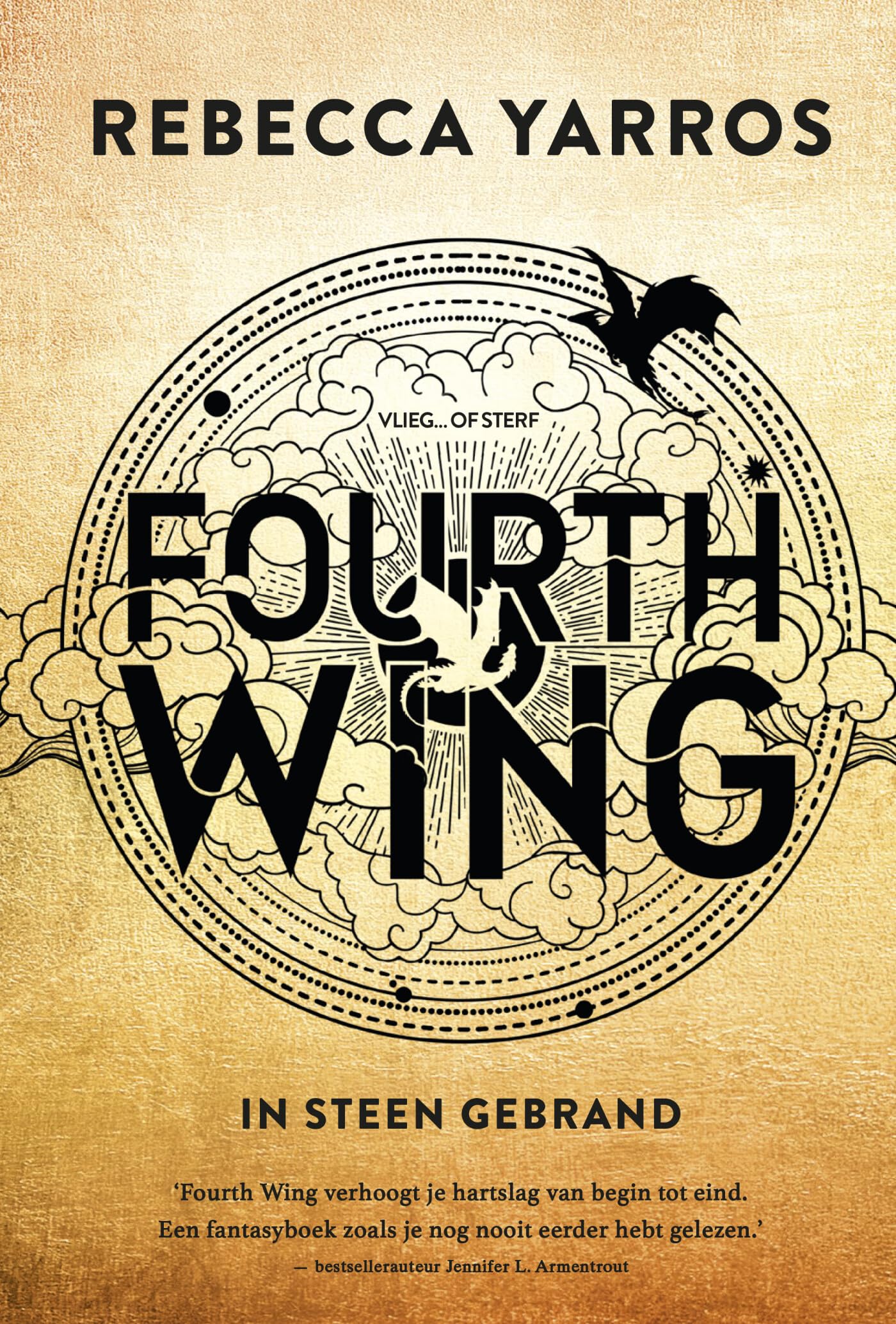 In steen gebrand (Fourth Wing) (The Empyrean, 1) Dark Fantasy