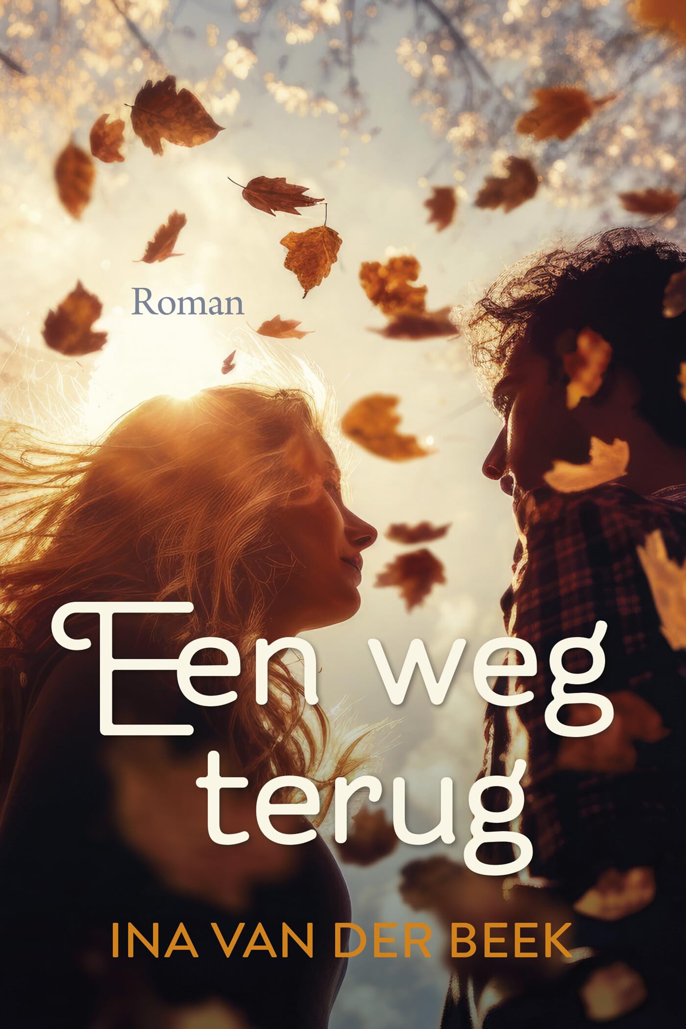 Een weg terug (Romanserie) Contemporary literature