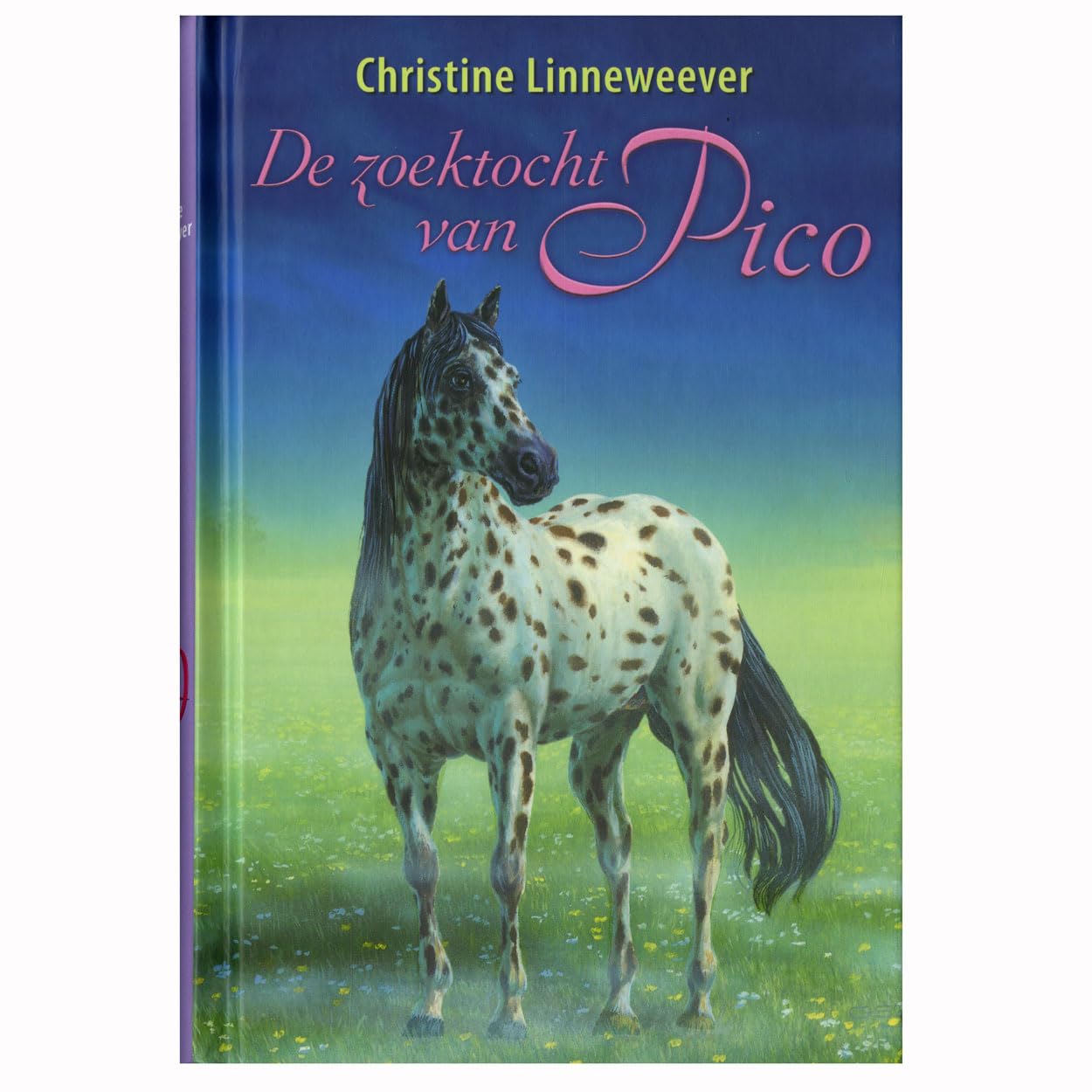 De zoektocht van Pico book