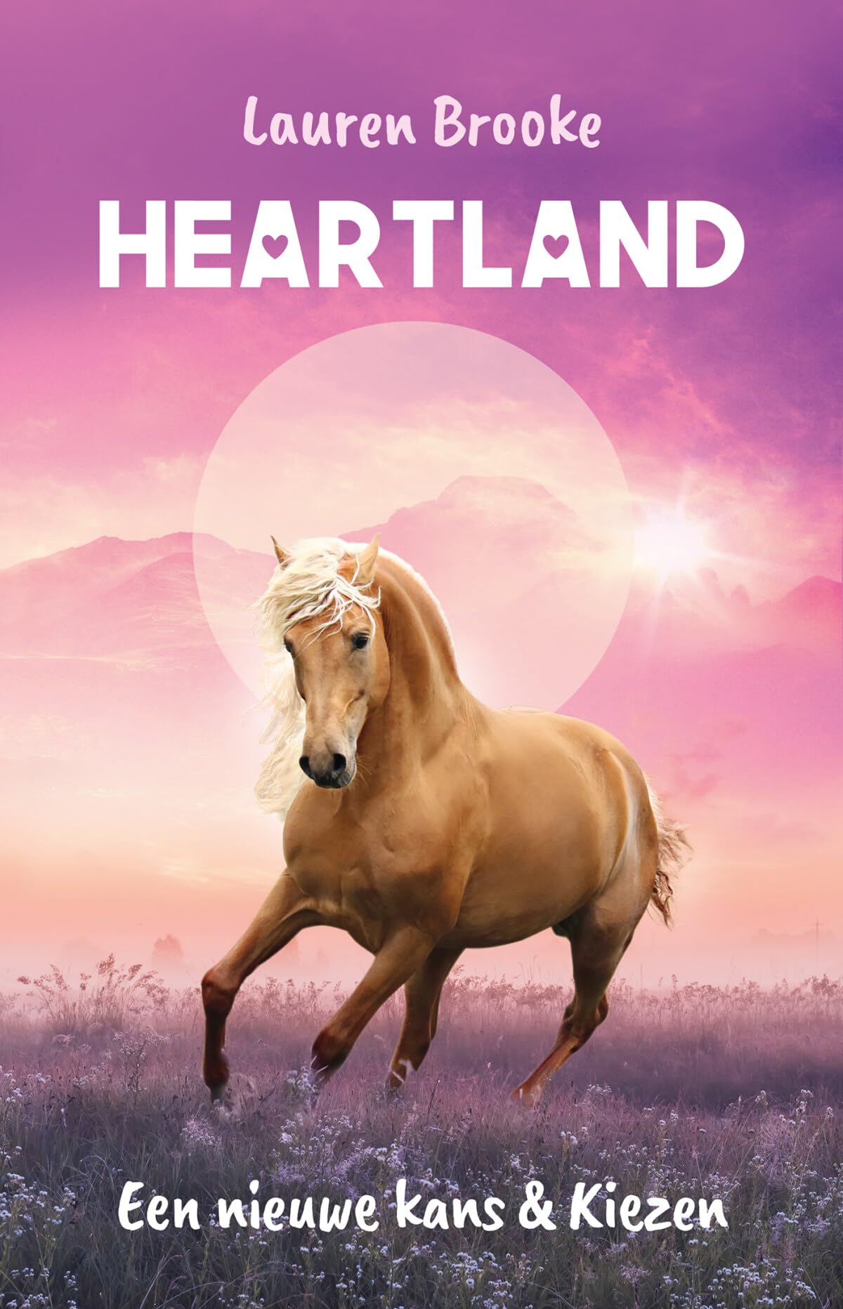 Een nieuwe kans ; Kiezen book