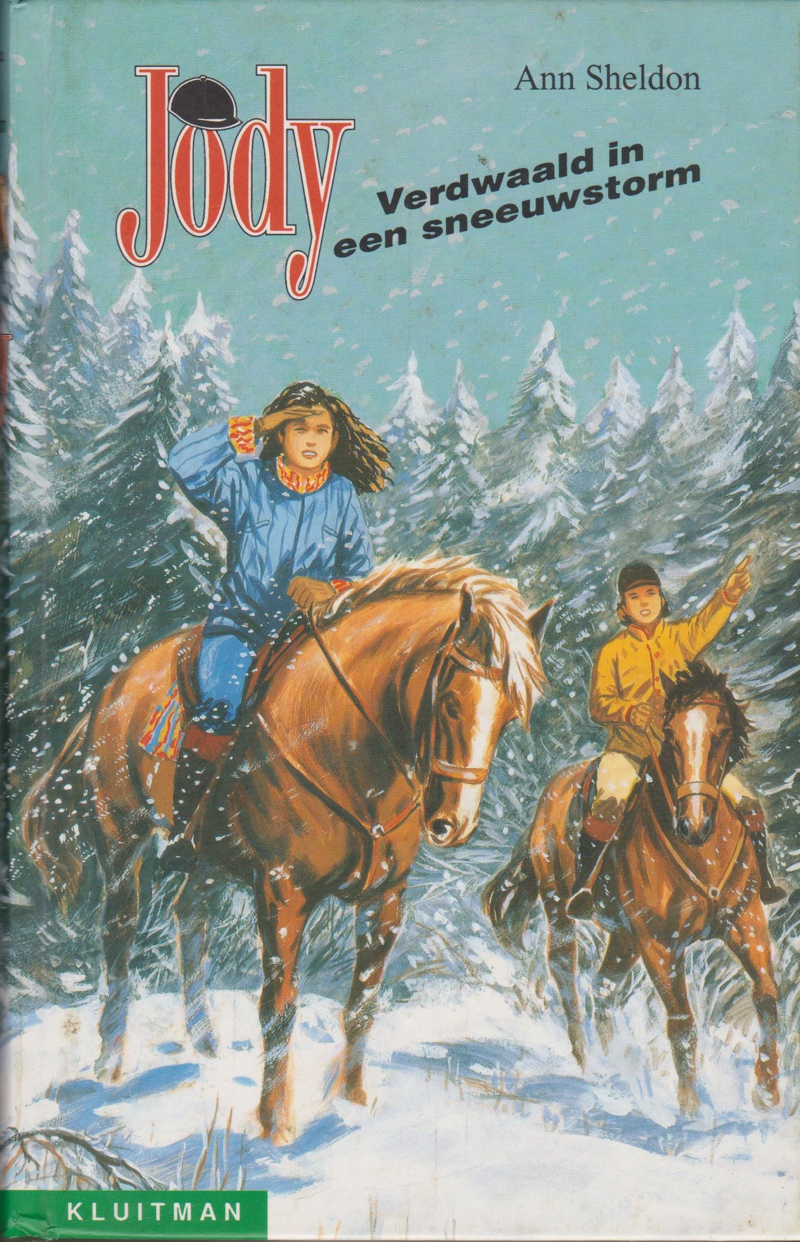Verdwaald in een sneeuwstorm (De boekenplank) Novels & Short Stories