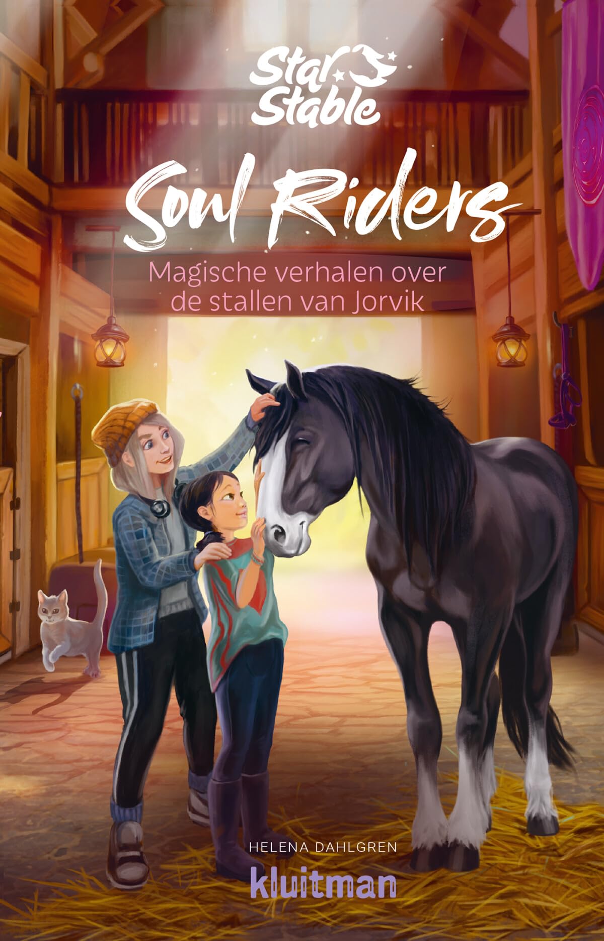 Magische verhalen over de stallen van Jorvik book