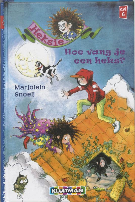 Hoe vang je een heks? book
