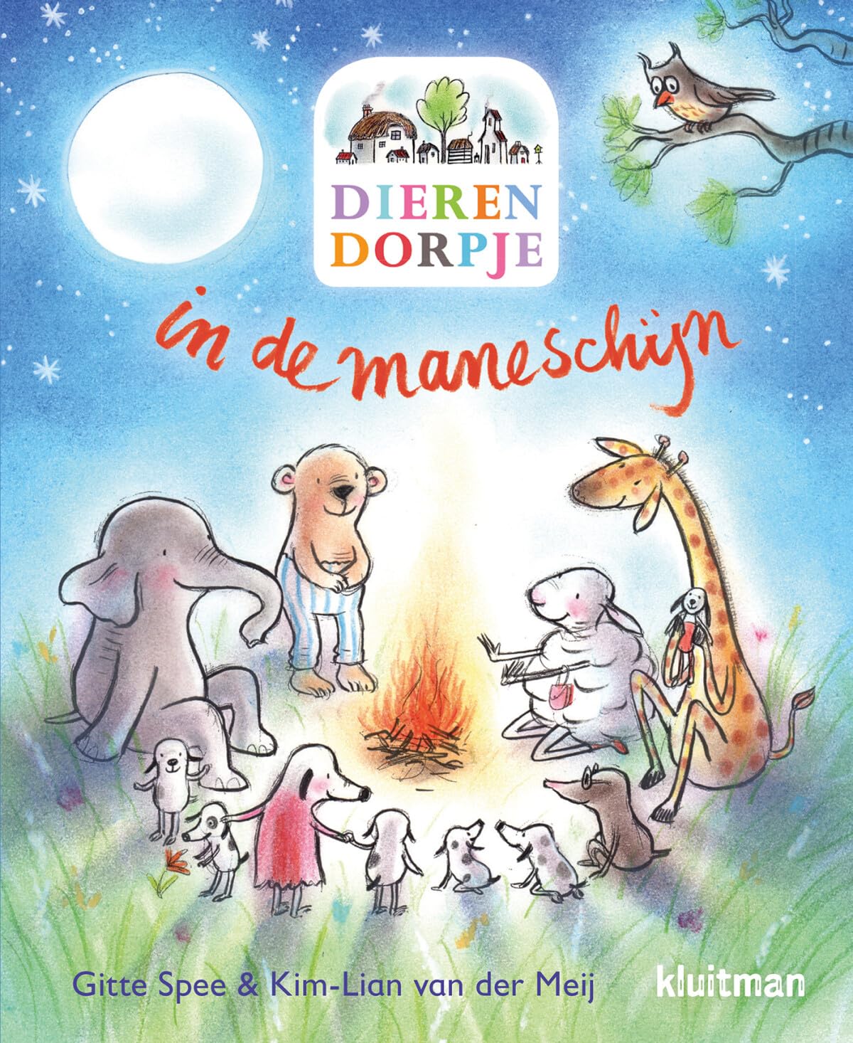 Dierendorpje in de maneschijn book