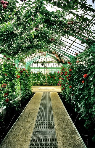 Royal Greenhouses of Laeken Books