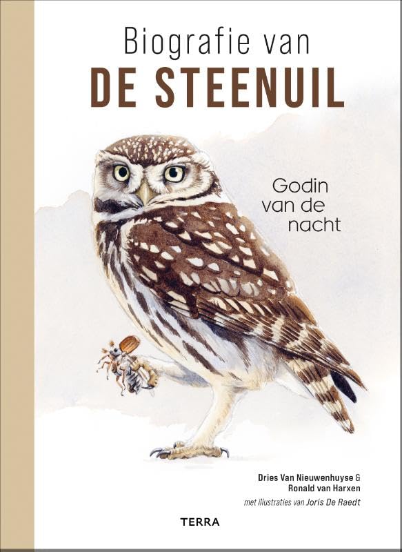 Biografie van de steenuil: Godin van de nacht Mathematics