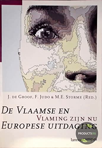 De Vlaamse en Europese uitdaging: Vlaming zijn nu Books