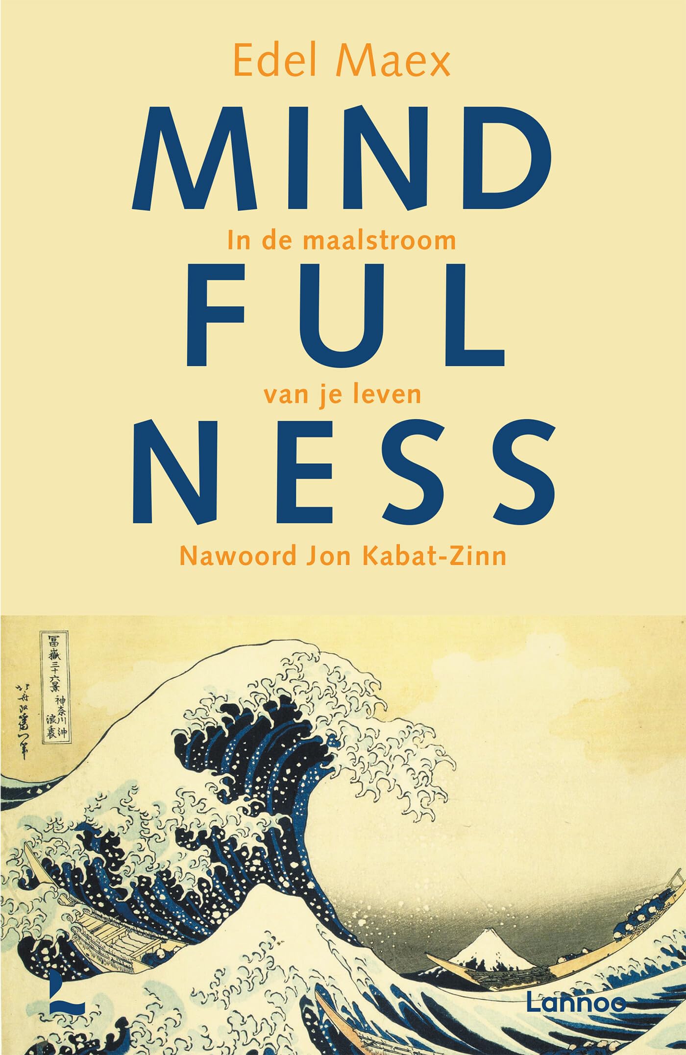Mindfulness: in de maalstroom van je leven book