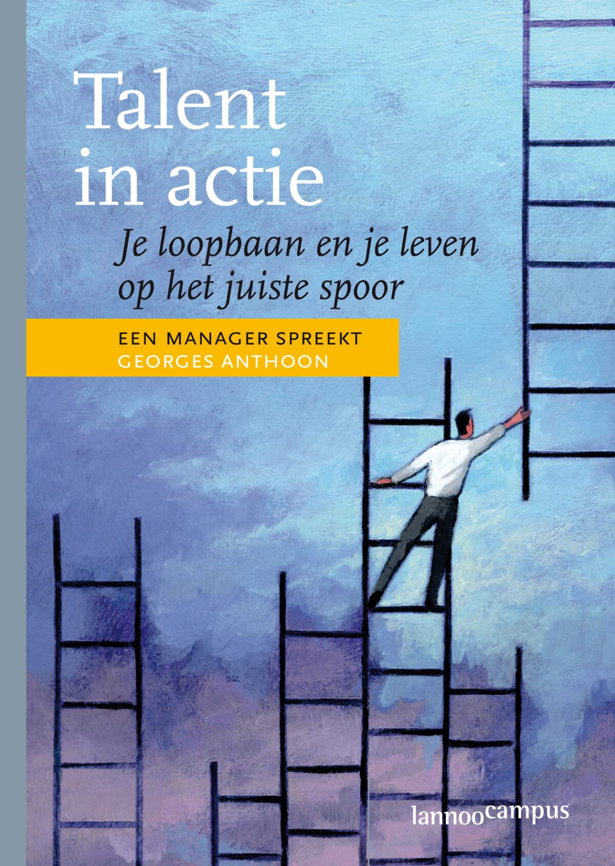 Talent in actie: je loopbaan en je leven op het juiste spoor : een manager spreekt book