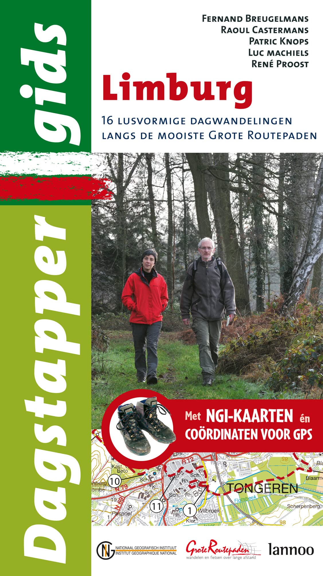 Dagstappergids Limburg: 16 lusvormige dagwandelingen langs de mooiste Grote-Routepaden book
