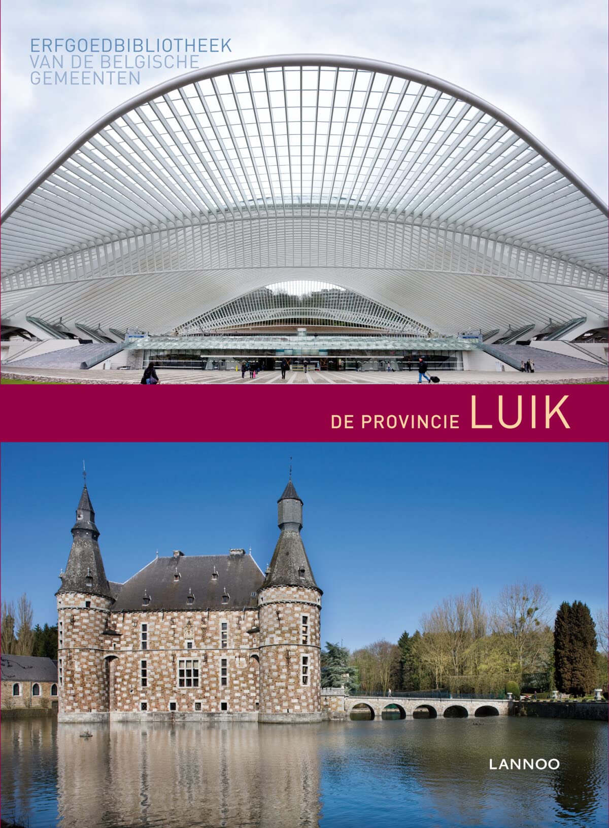 De provincie Luik - Erfgoedbibliotheek van de Belgische gemeenten Books
