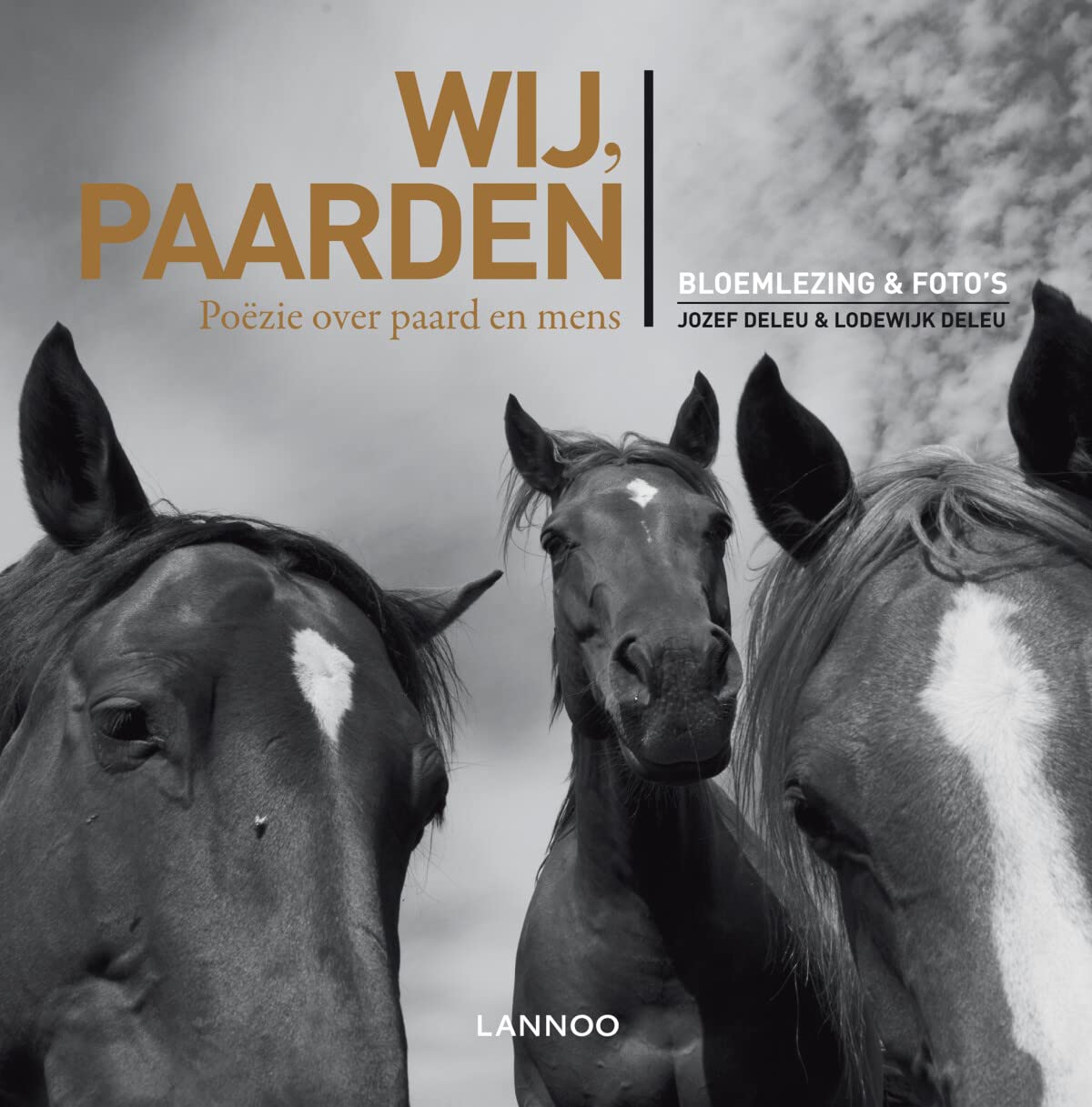 Wij, paarden: Poëzie over paard en mens Poetry