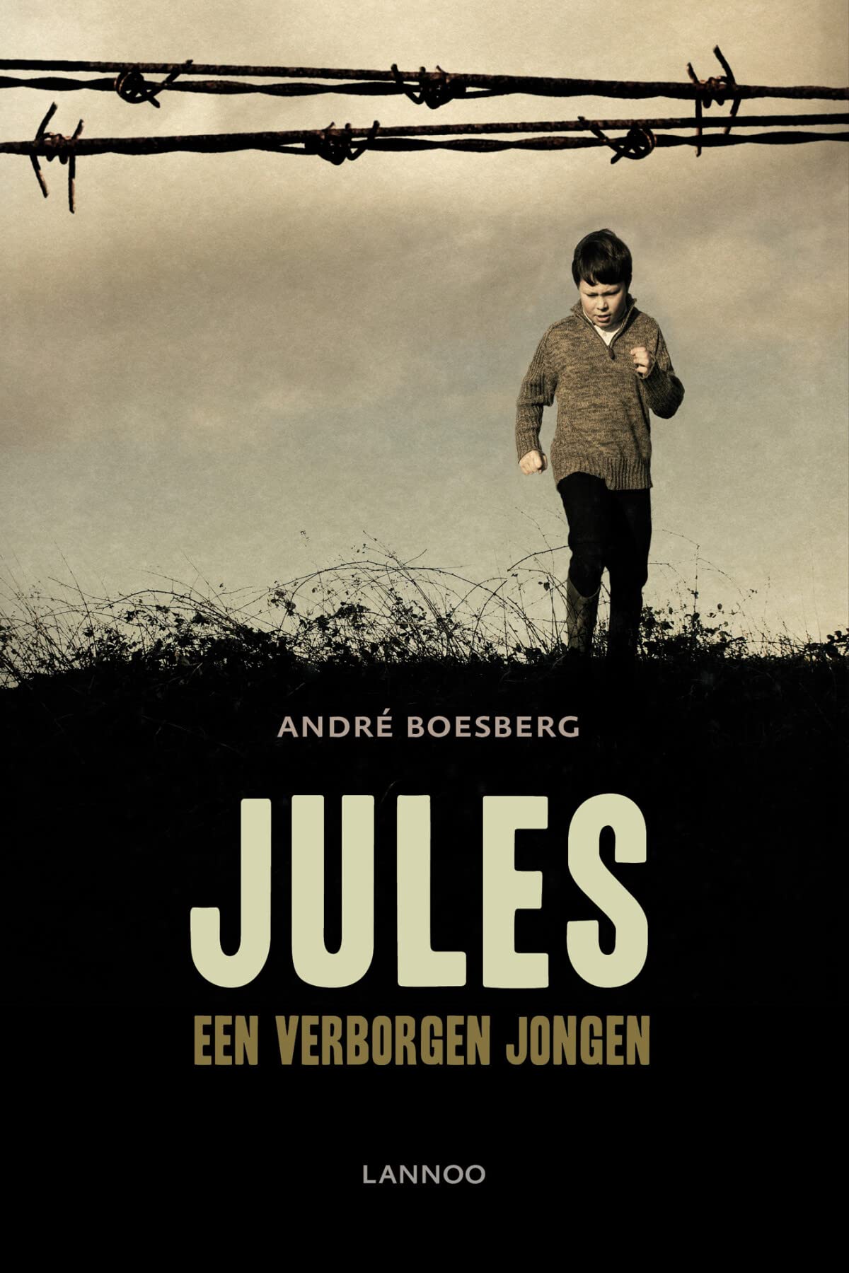 Jules: een verborgen jongen book