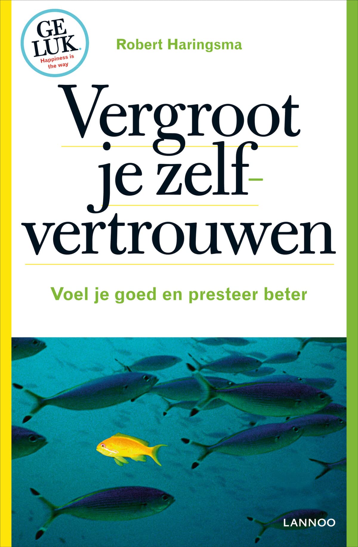 Vergroot je zelfvertrouwen: voel je goed en presteer beter book