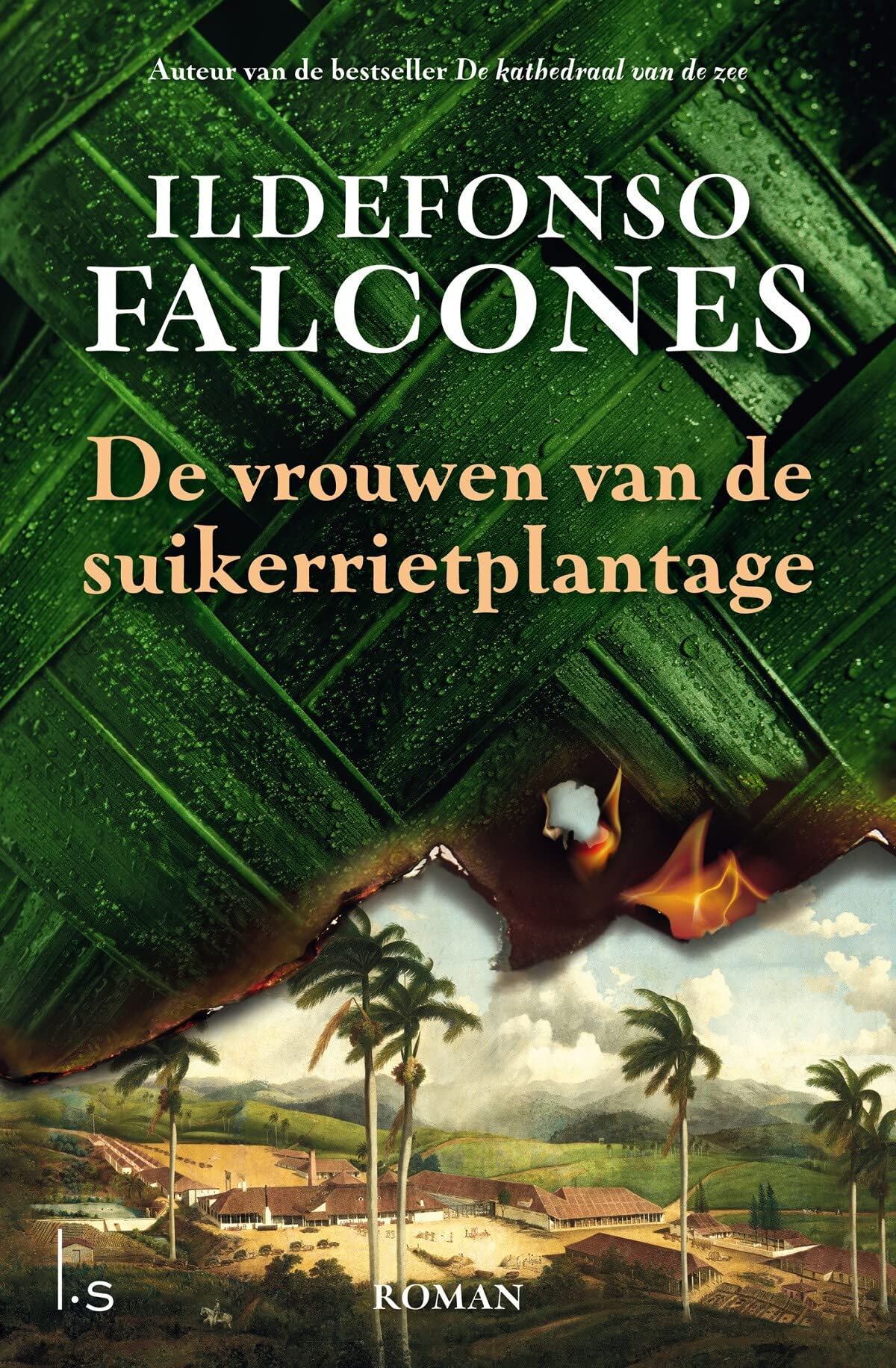 De vrouwen van de suikerrietplantage book