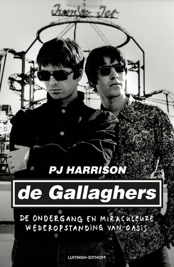 De Gallaghers: De ondergang en miraculeuze wederopstanding van Oasis book