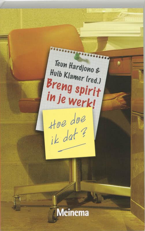 BRENG SPIRIT IN JE WERK HOE DOE IK DAT book