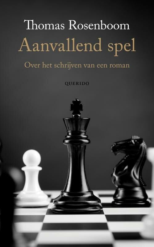 Aanvallend spel: over het schrijven van een roman book