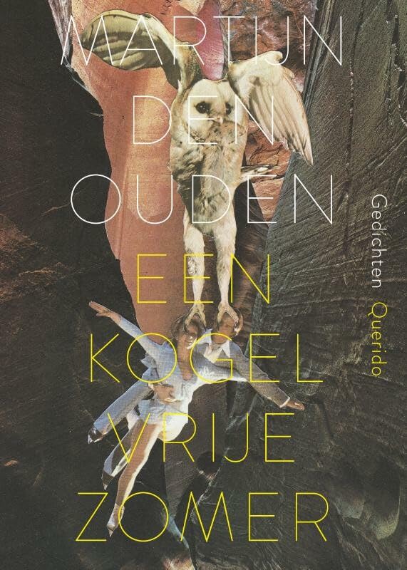 Een kogelvrije zomer: gedichten book
