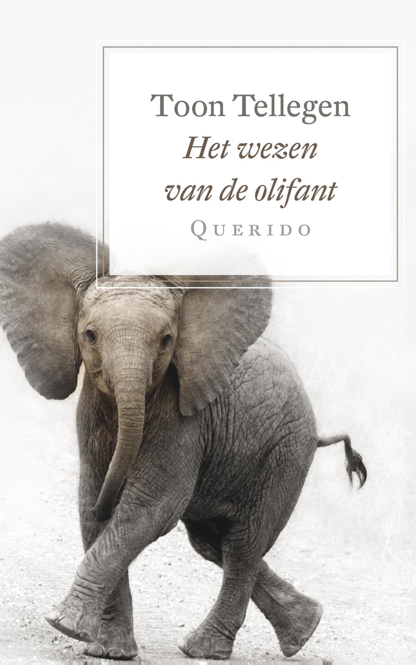 Product Image: Het wezen van de olifant