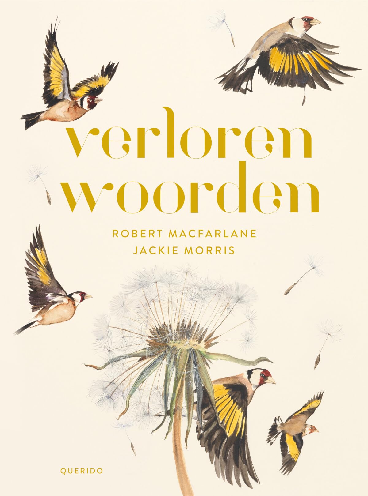 Verloren woorden: een betoverboek book