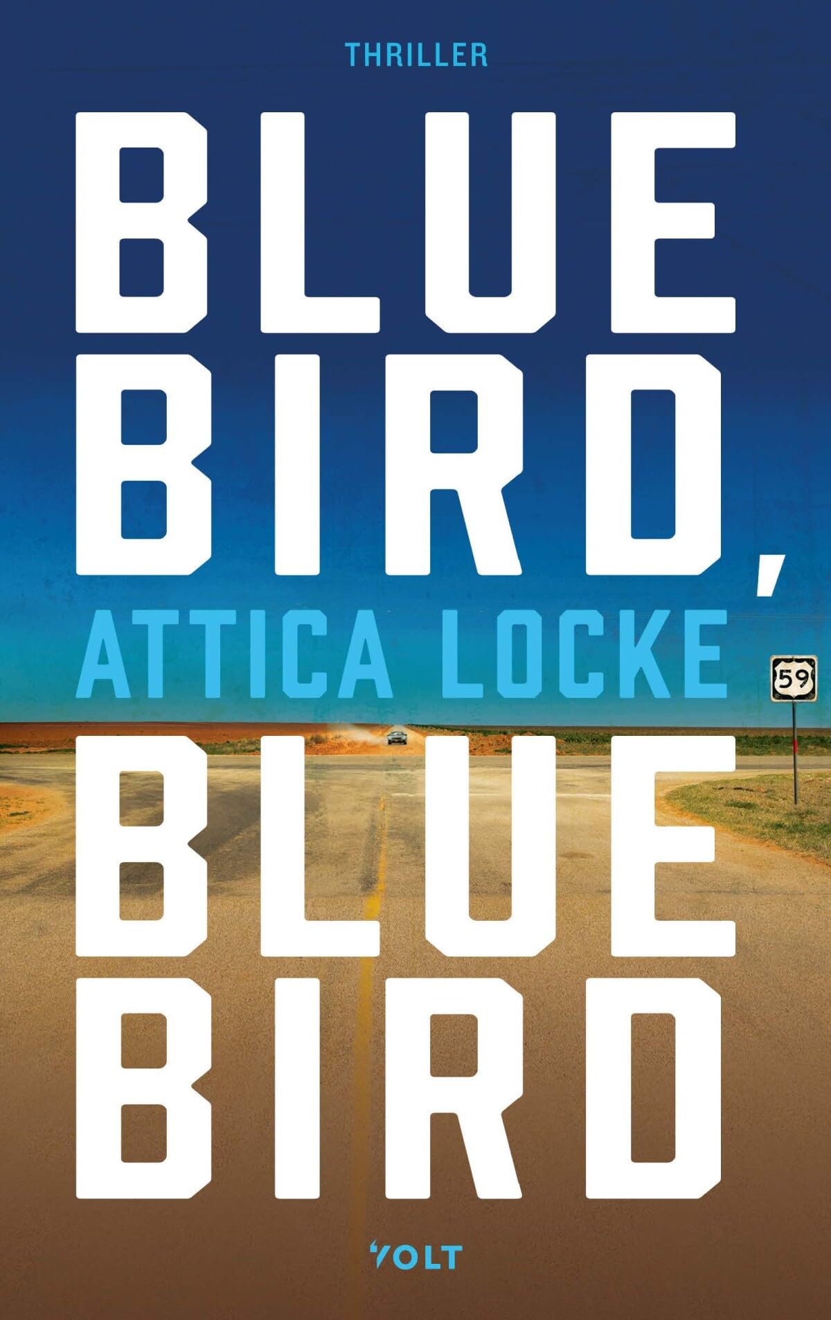 Bluebird, bluebird (Darren Matthews, 1) Contemporary literature