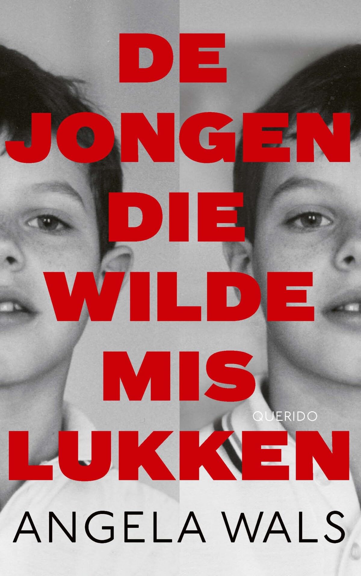 De jongen die wilde mislukken book