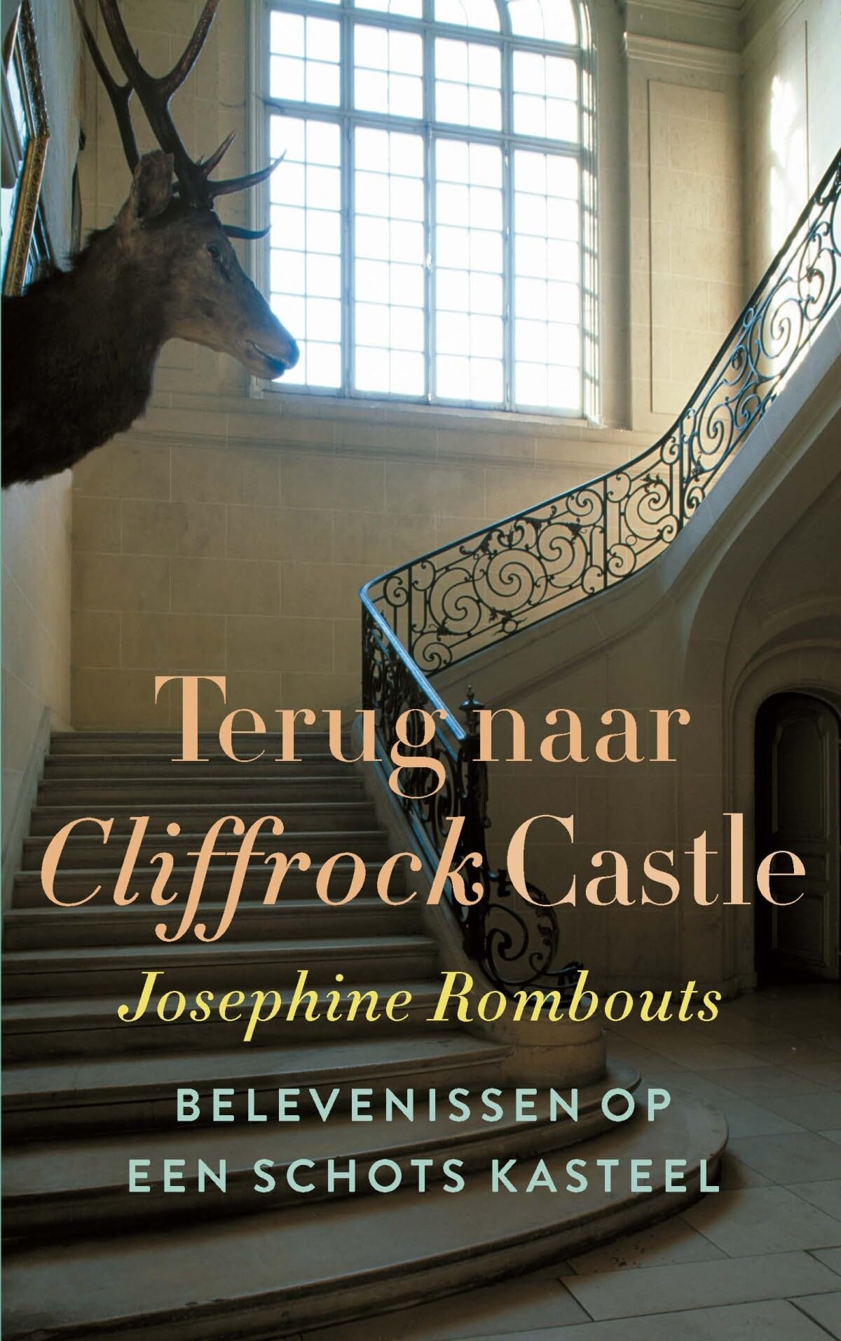 Terug naar Cliffrock Castle: belevenissen op een Schots kasteel book