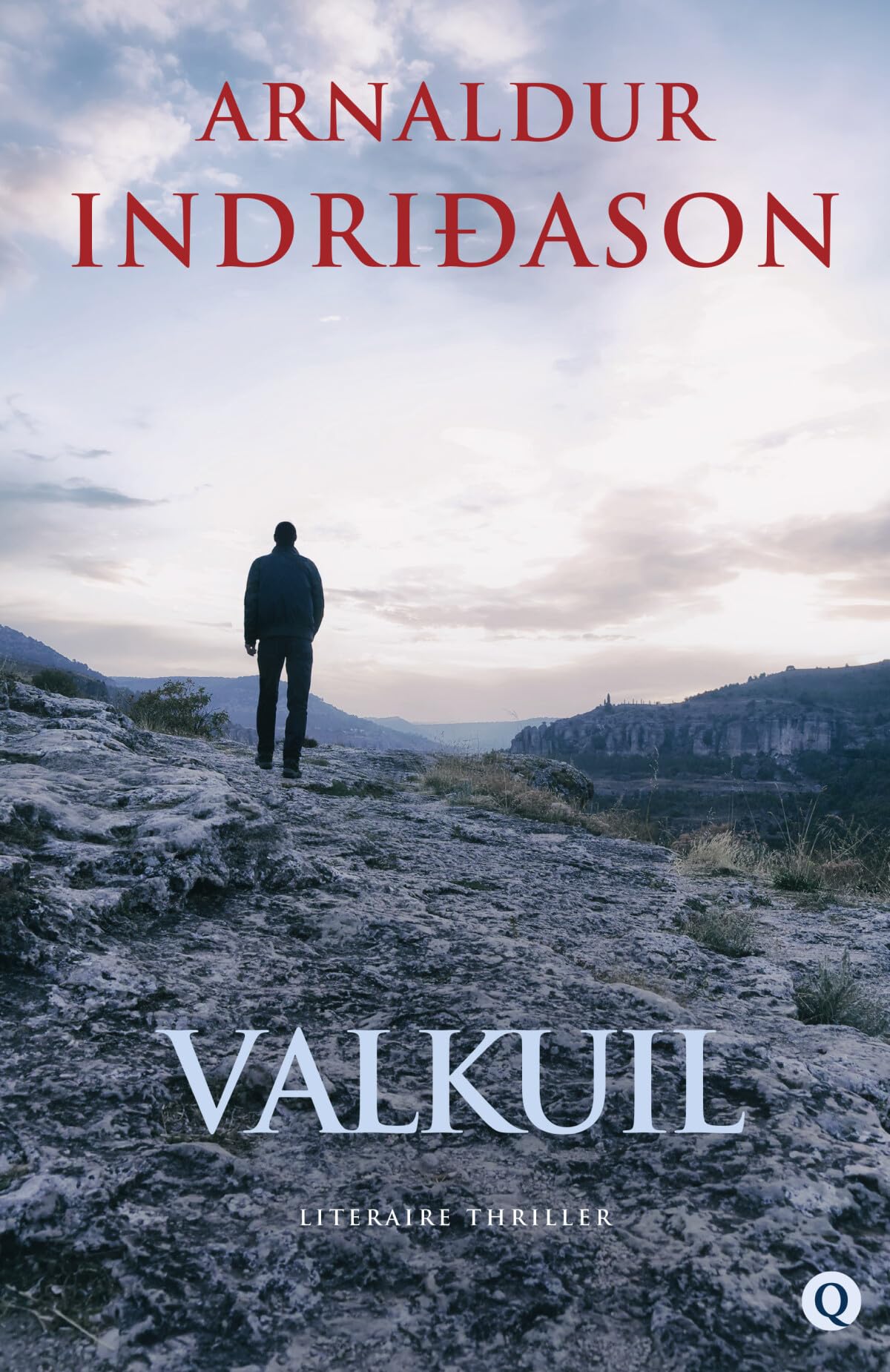 Valkuil (Thorson en Flóvent, 3) Contemporary literature Books