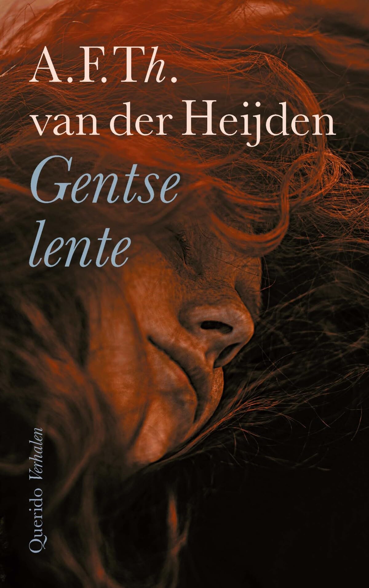 Gentse lente: verhalen book