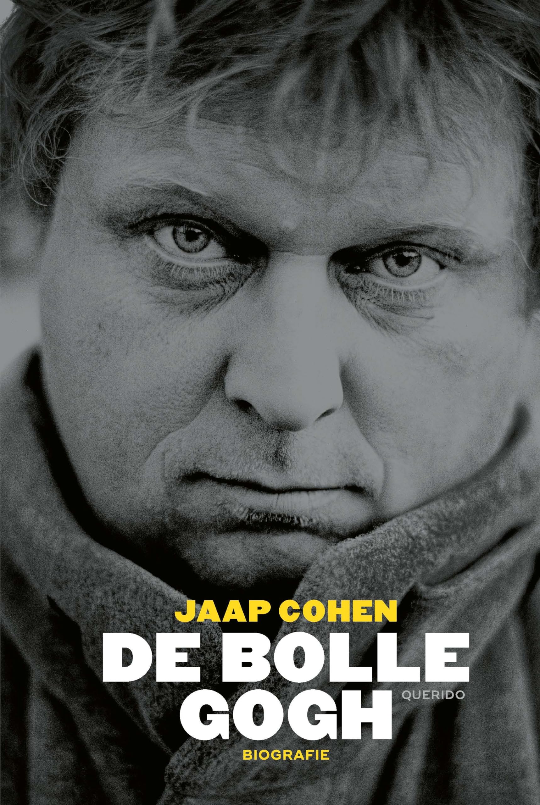 De bolle Gogh: biografie book